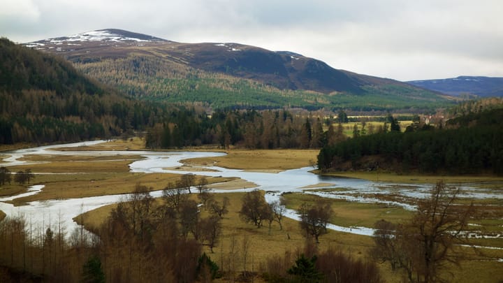 Wälder für die schottischen Highlands