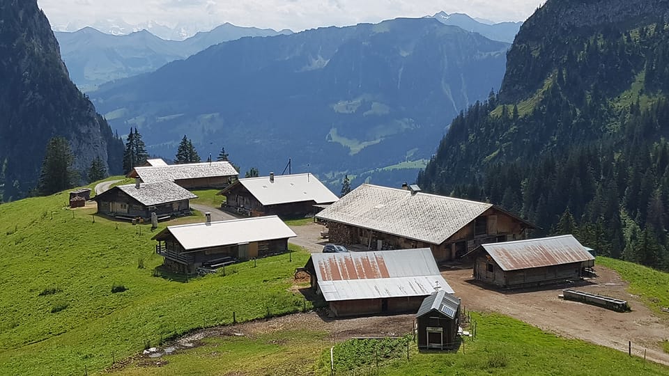 Pia Kaeser unterwegs auf der Alp Mittlist Morgeten