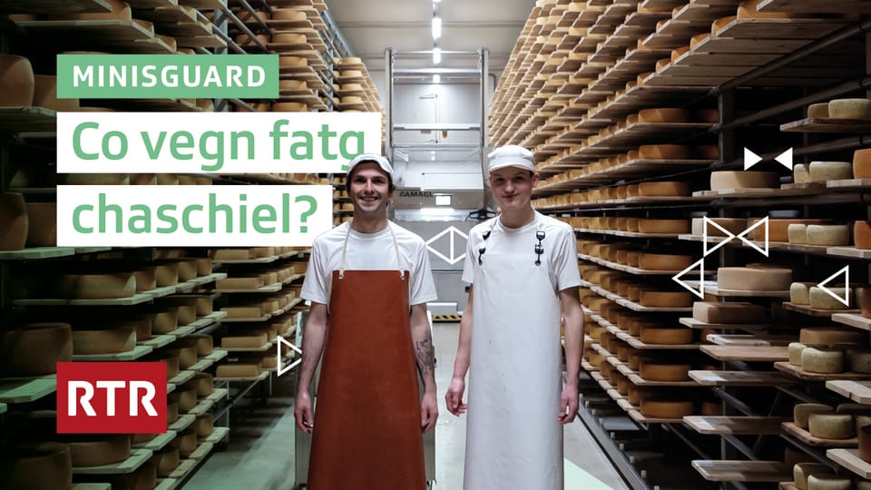 Co vegn fatg chaschiel? - Minisguard - Play RTR