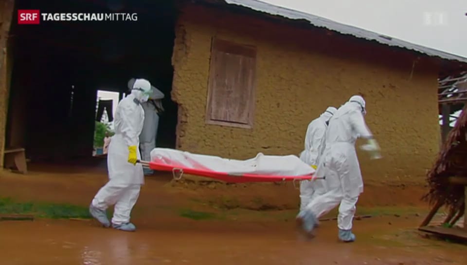 Rasante Ausbreitung des Ebola-Virus