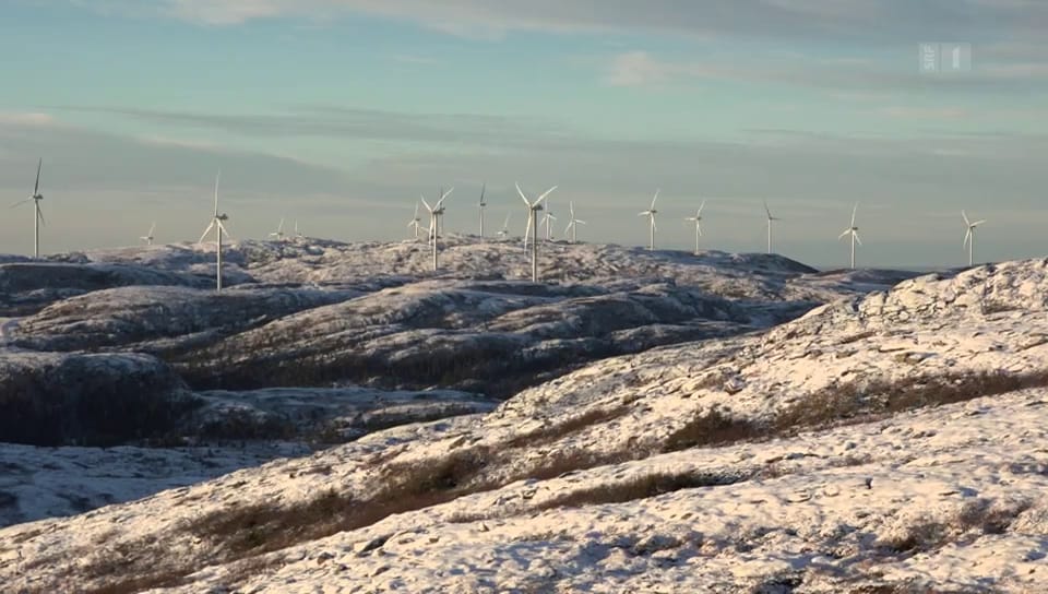 Aus dem Archiv: Umstrittener Windpark gefährdet Naturvolk