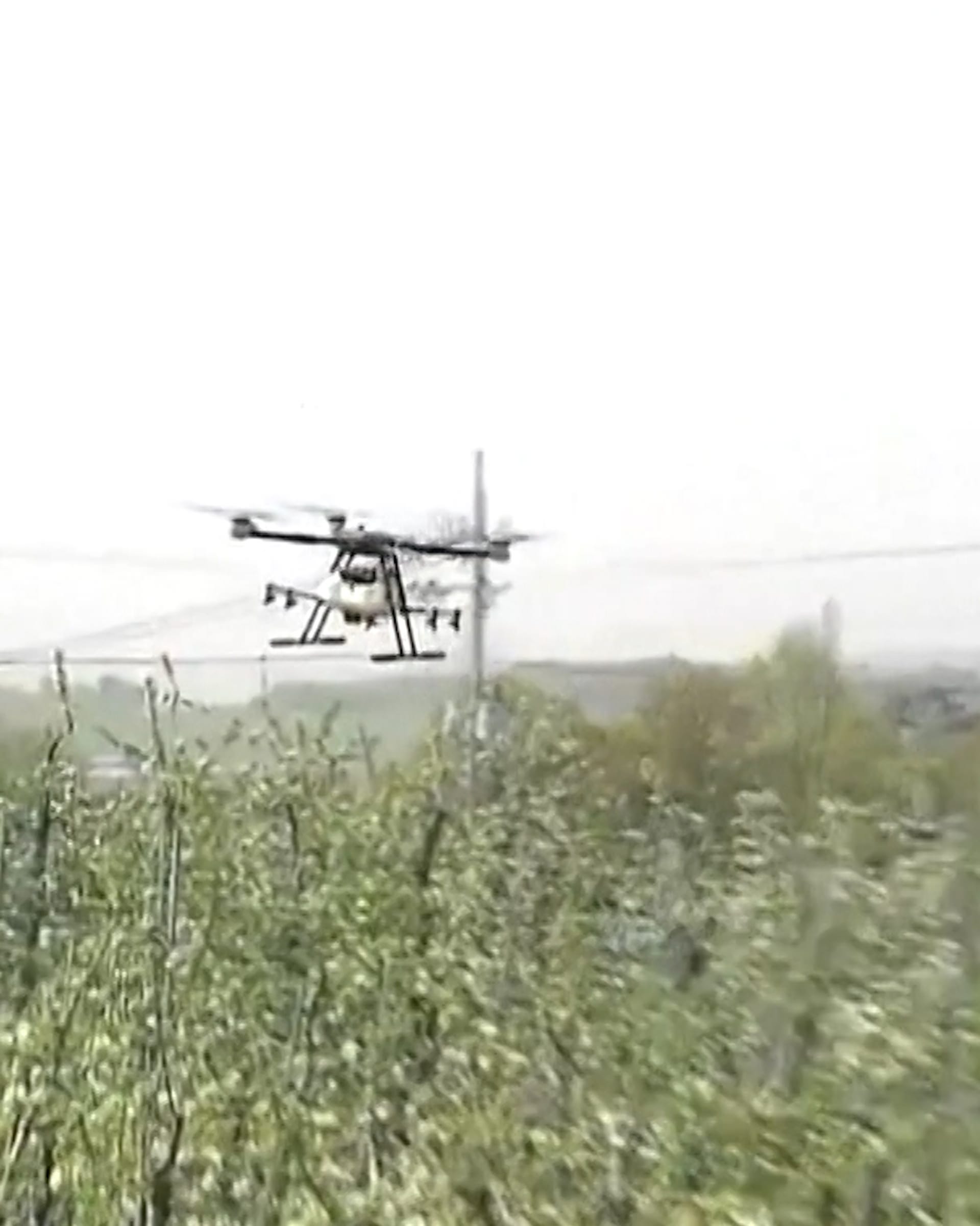 In Korea bestuben Drohnen die Obstfelder - SRF News Videos - Play SRF