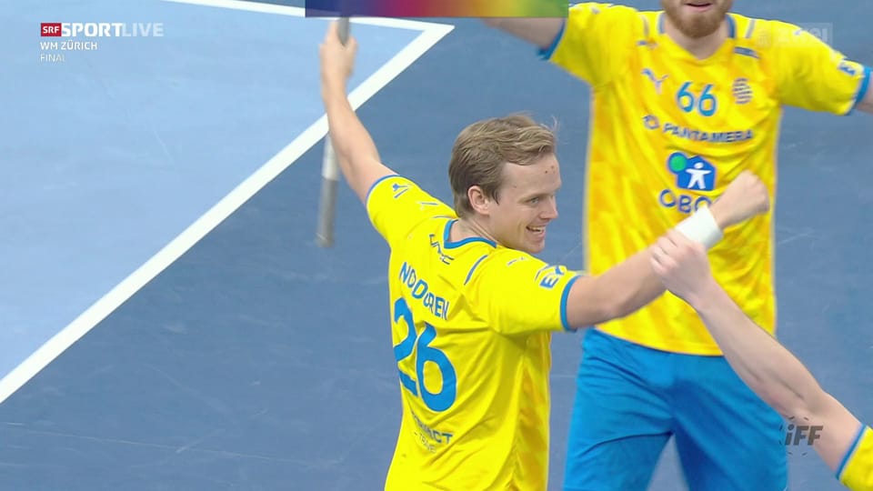 Auch Schwedens 3. Linie zaubert: Nordgren mit feinem Volley
