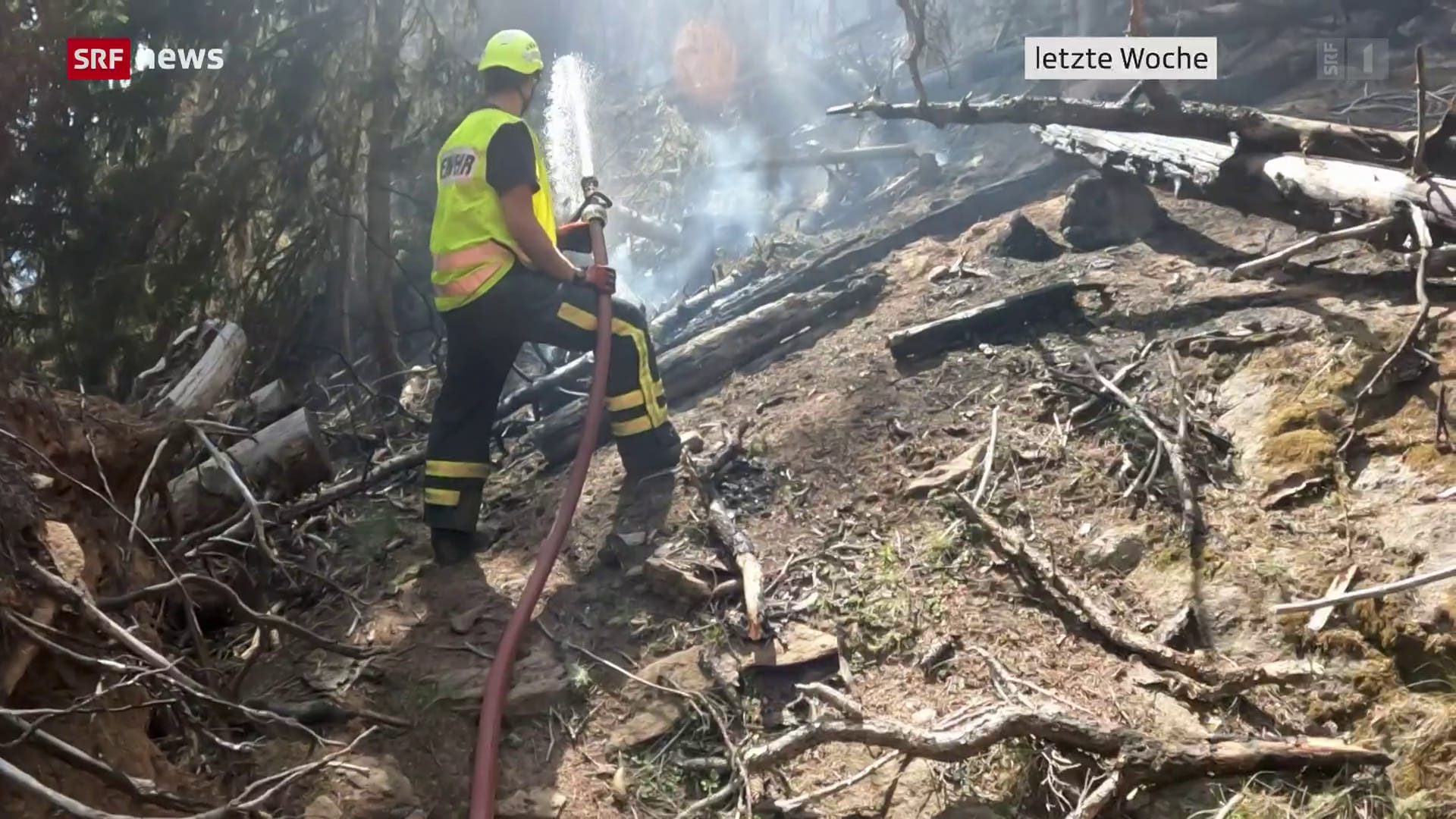 waldbrand-in-bitsch-vs-von-2023-mit-gewehr-verursacht-news-srf