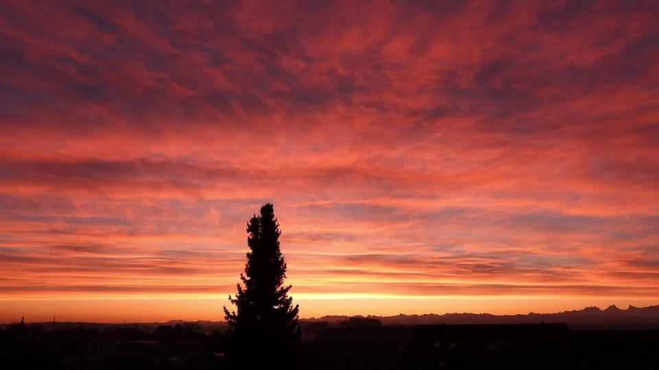 Sonnenaufgang in Attiswil/BE, 28. Dezember, Urs Hufschmid