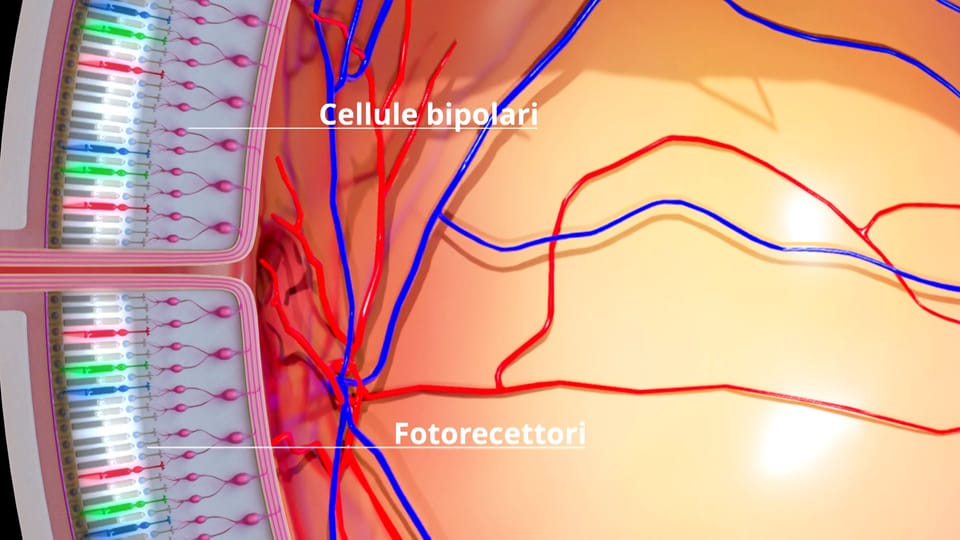 https://il.rsi.ch/rsi-api/resize/image/v2/EPISODE_IMAGE/2099067/