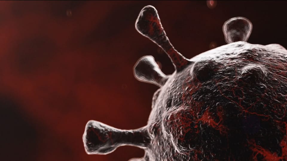 Virus mutato, le conseguenze - Telegiornale - Play RSI