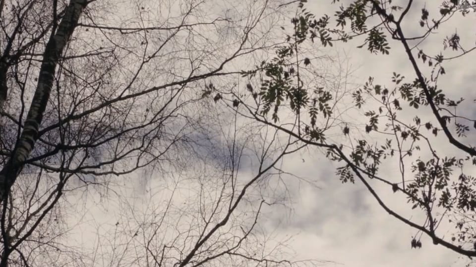 Psichedelici, le droghe che curano