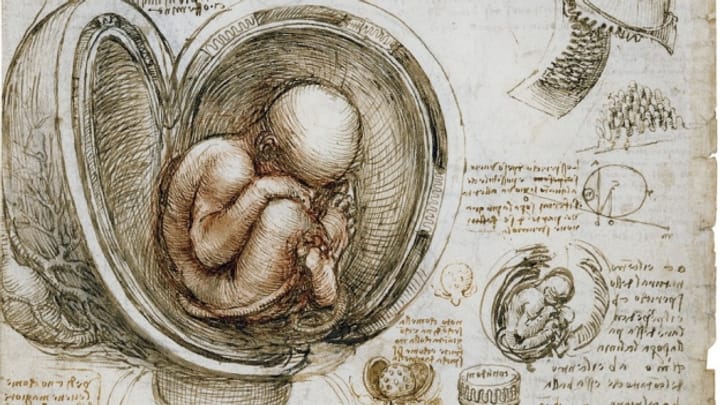 Leonardo Da Vinci: Maler, Ingenieur, Universalgenie