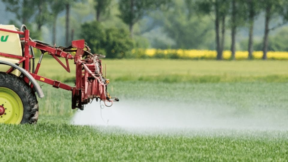 Giftstoffe im Trinkwasser: Braucht es ein Verbot von Pestiziden?