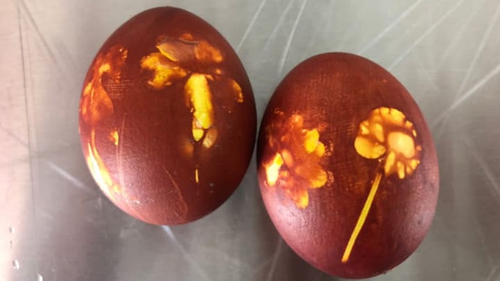 Pflanzenmotive auf Eierschalen färben