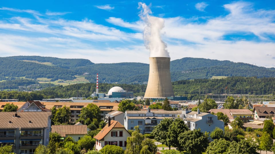 Klimaschutz: Mit oder ohne Kernenergie?