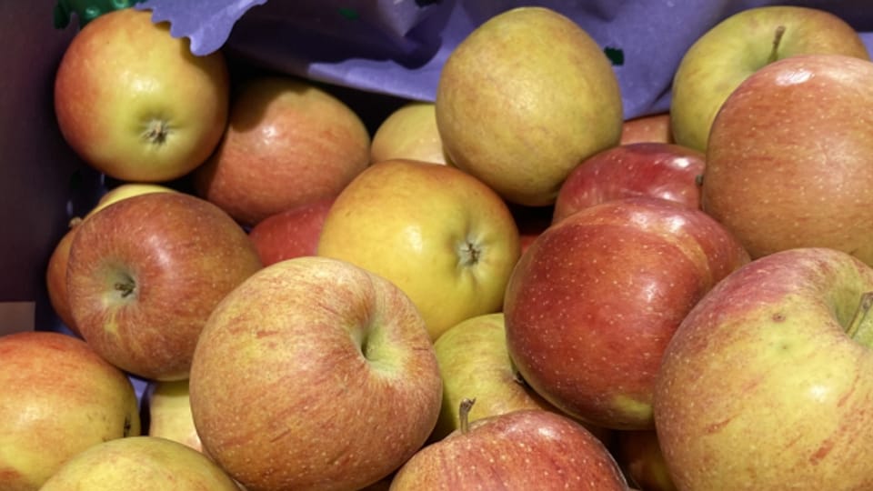 Frische Äpfel im Juni – aus der Schweiz oder Neuseeland?