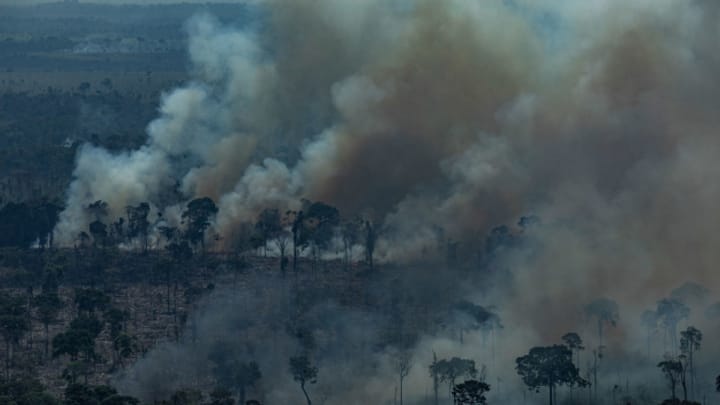 Archiv: Klimawandel und illegale Brandrodung setzen Amazonasgebiet enorm zu.
