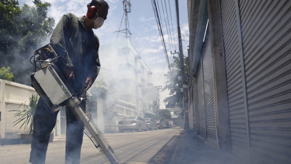 Denguefieber breitet sich in Thailand aus