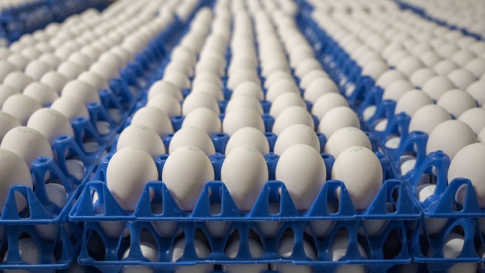 In Schweizer Eierregalen drohen Lücken
