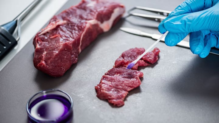 Archiv: Fleisch aus dem Labor – ein Milliardengeschäft?