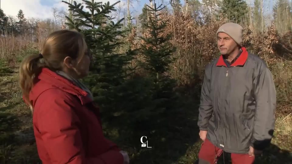Entretien avec Jean-Pierre Rausis, garde forestier du cantonnement Mont ...