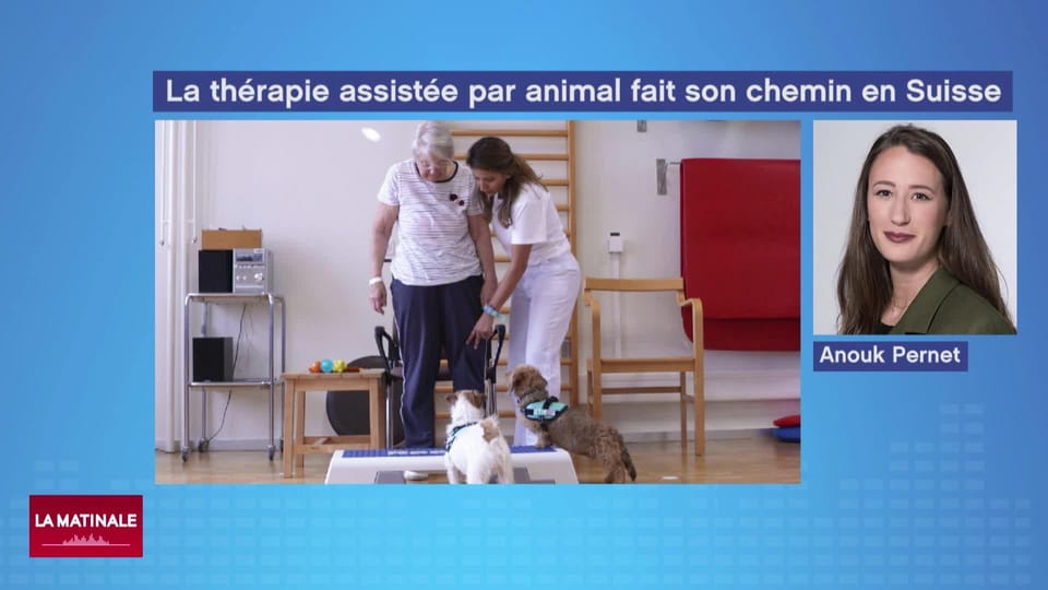 La thérapie assistée par un animal fait son chemin en Suisse - La ...