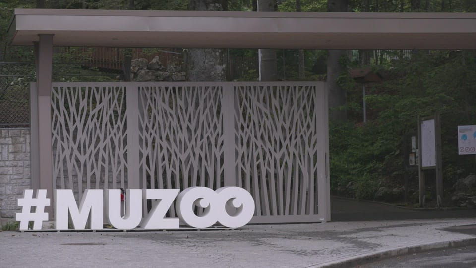 Le Muzoo, moitié zoo, moitié musée - A bon entendeur - Play RTS