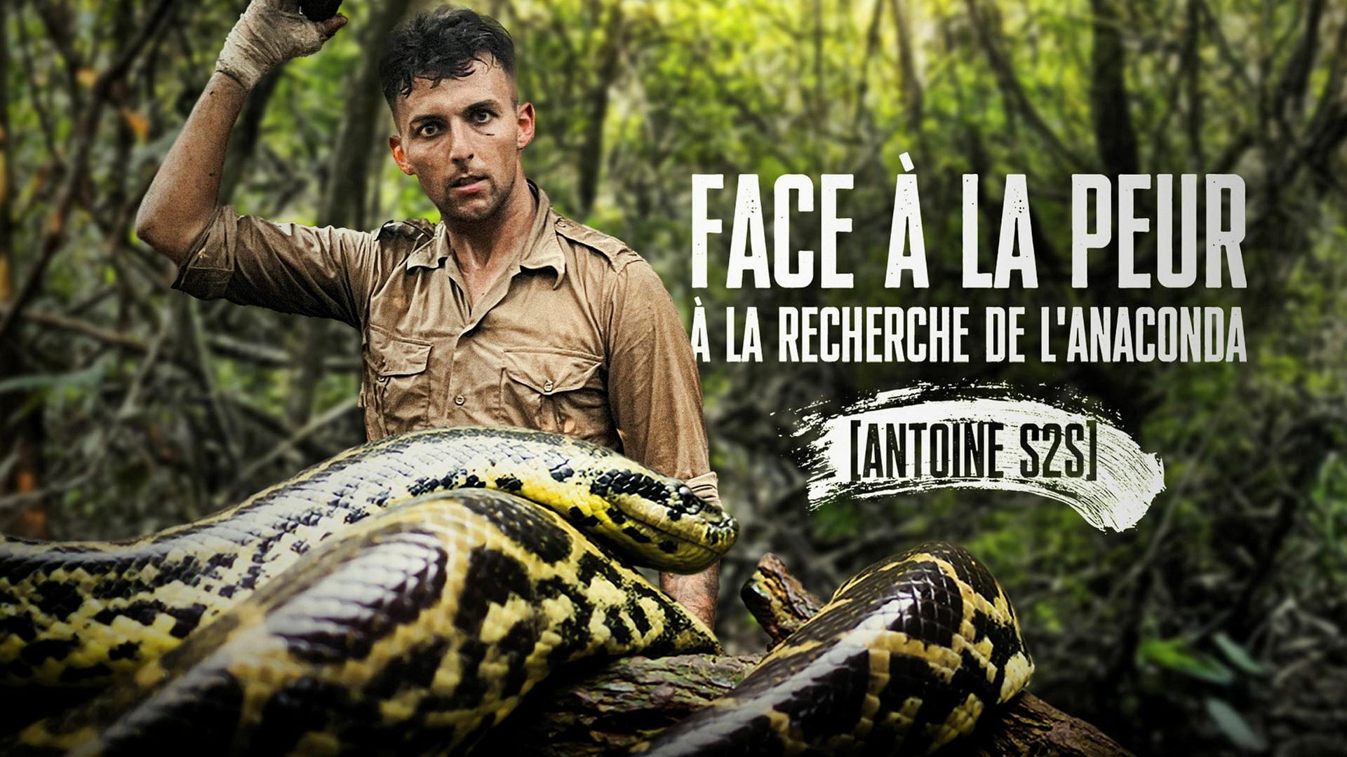 Face à la peur : à la recherche de l'anaconda
