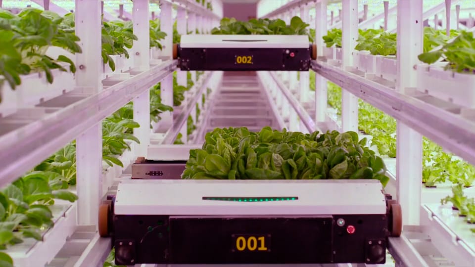 Ist Vertical Farming die Landwirtschaft der Zukunft?