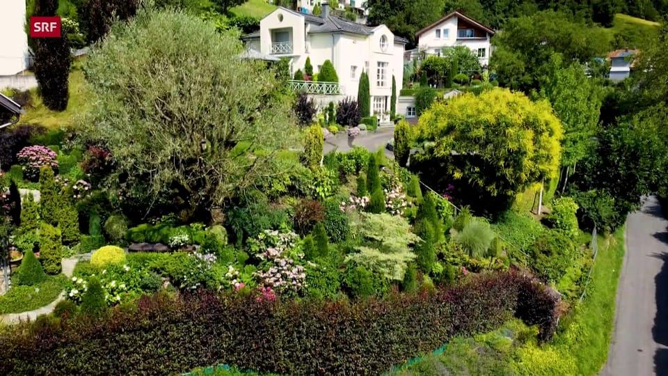 Doris' beeindruckender Garten