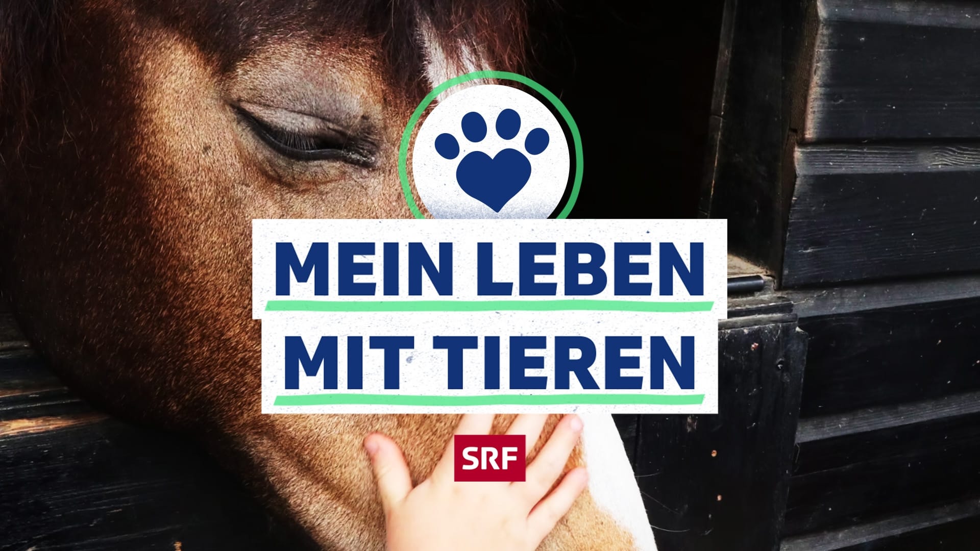 Mein Leben mit Tieren Play SRF