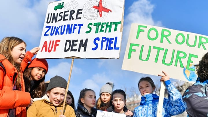 Klimastreik in Zürich: Warum die jungen Leute am 18. Januar auf die Strasse gingen.