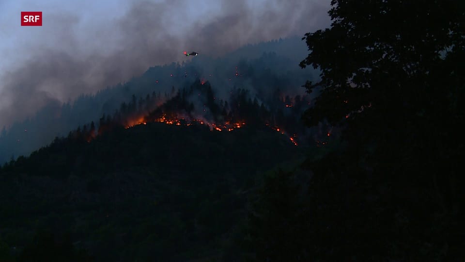 Der Wald oberhalb Bitsch (VS) brennt