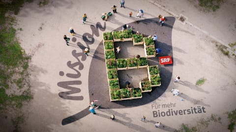 Biodiversität