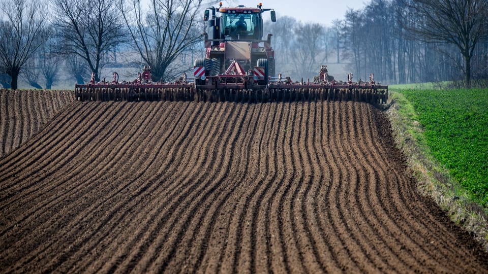 Landwirtschaft ohne synthetische Pestizide: Vorteil für die Umwelt, aber wirtschaftlich riskant