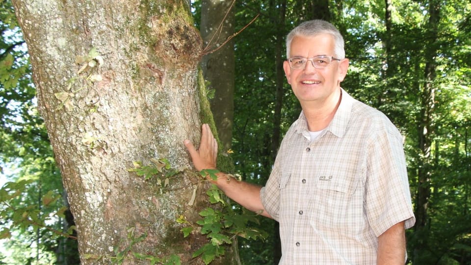 Der Leiter der Abteilung Wald beim Kanton Aargau, Alain Morier, macht sich Sorgen, sieht aber auch Chancen für den Wald.