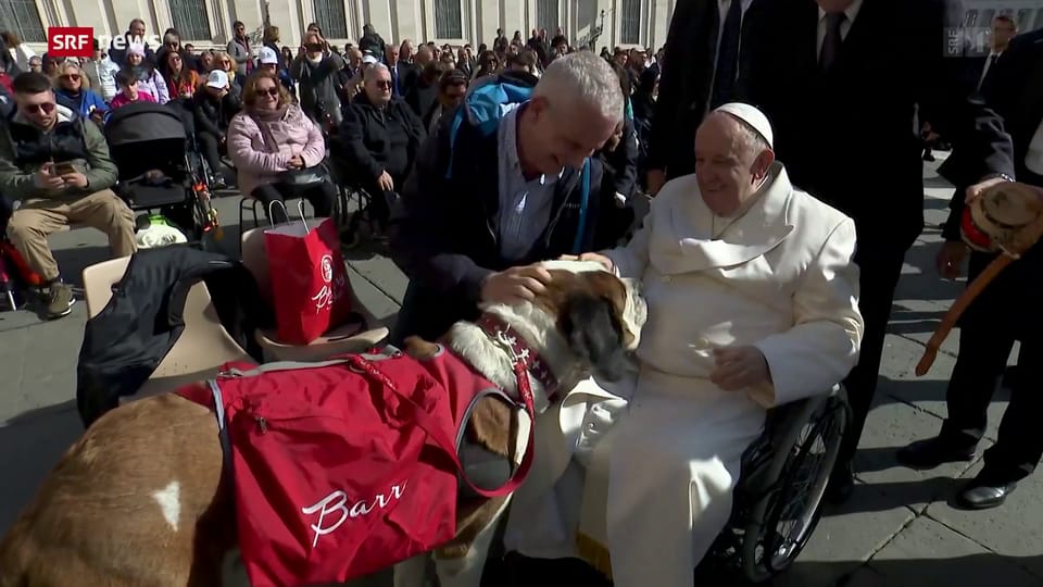 Archiv: Nicht nur Menschen, auch Tiere treffen den Papst