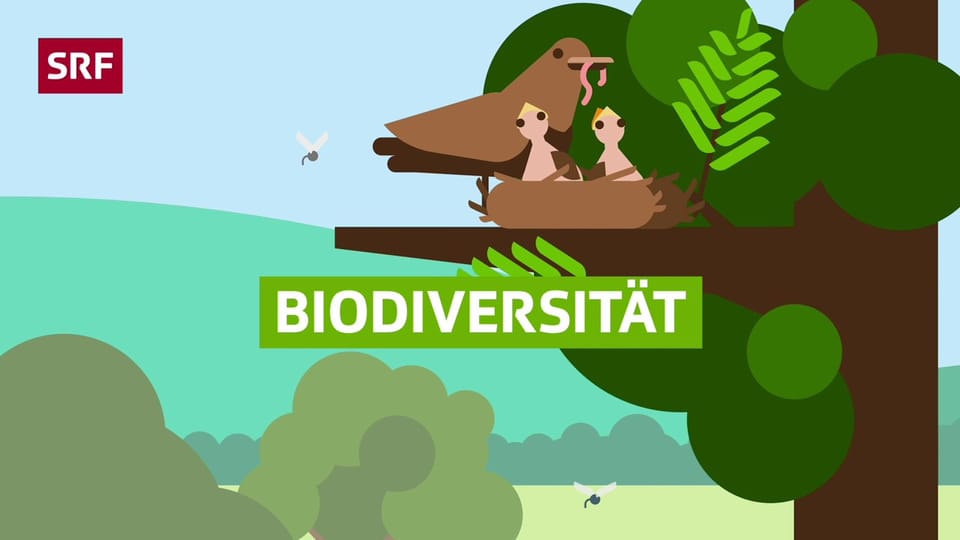 Aus dem Archiv: Was ist Biodiversität?