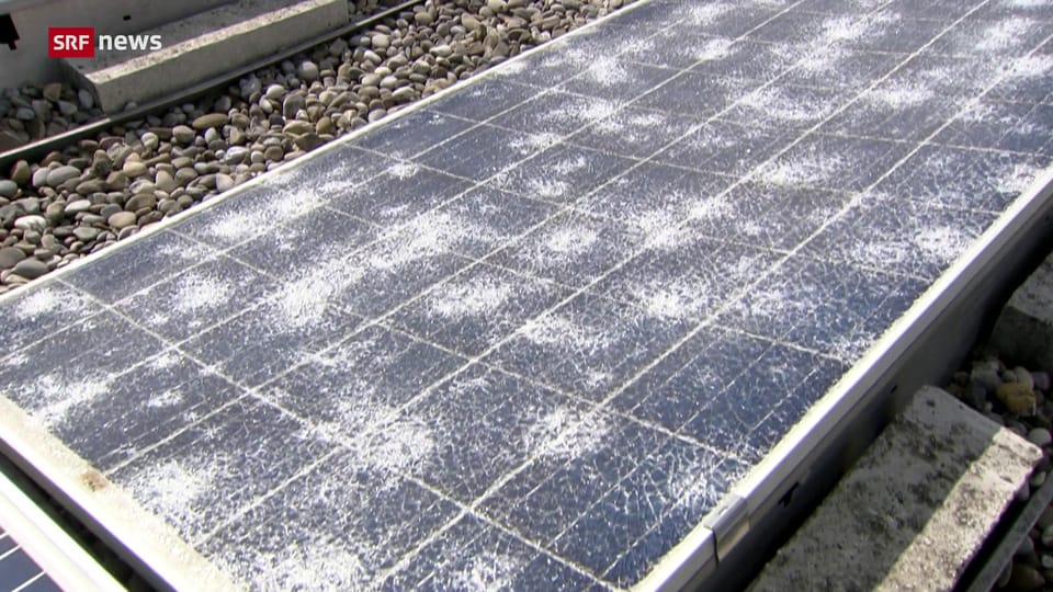 Wetter fordert Solarbranche heraus