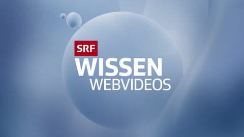 Wissen Webvideos