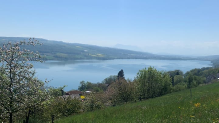 Der Hallwilersee soll Quagga-frei bleiben,. Braucht es wirklich Waschplätze für Boote?