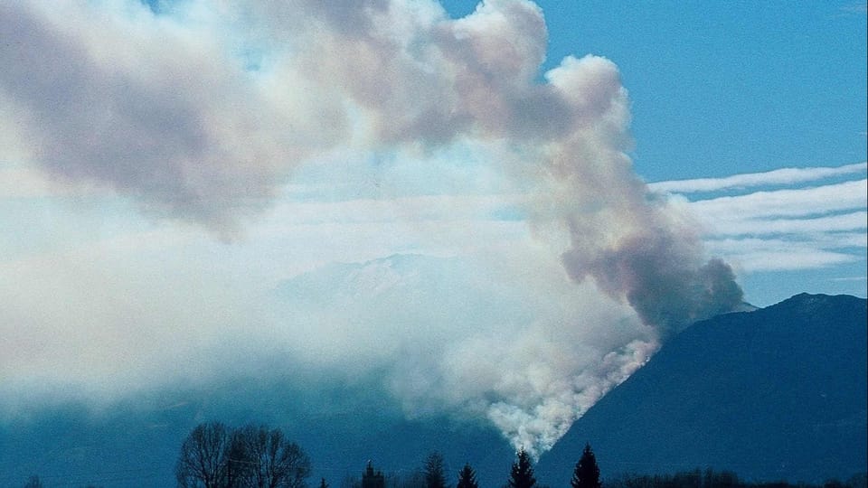 Waldbrandgefahr dürfte wegen des Klimawandels zunehmen, sagt der Experte