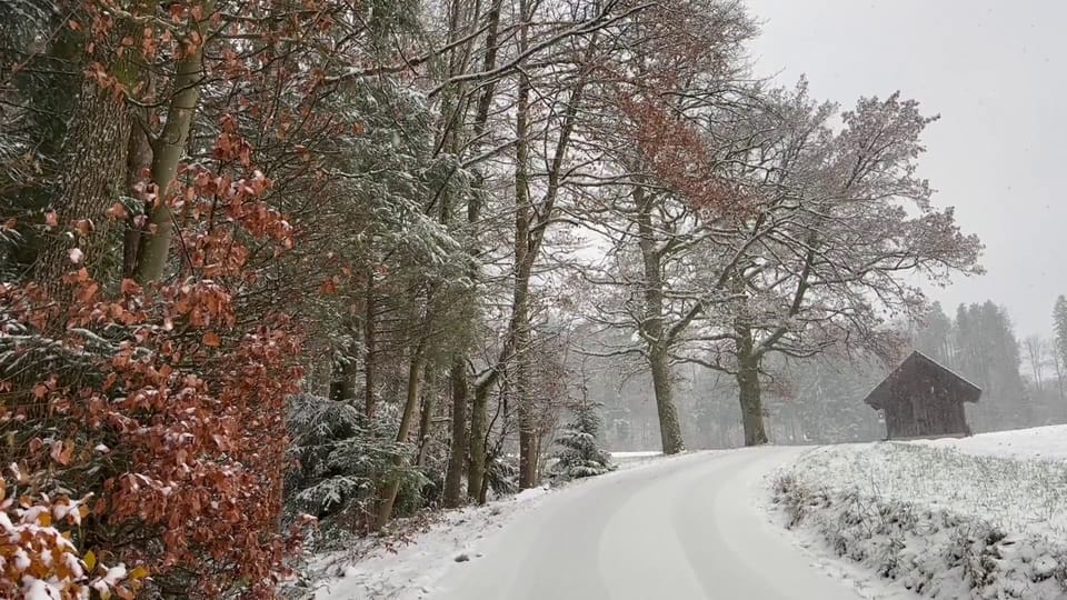 Wintermärchen am Donnerstagmorgen in Küsnacht/ZH, Monika Baumüller