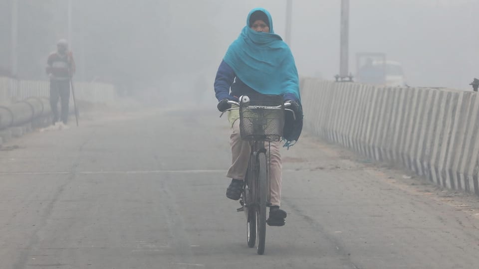 Delhis Luft wird durch Kuhdung belastet
