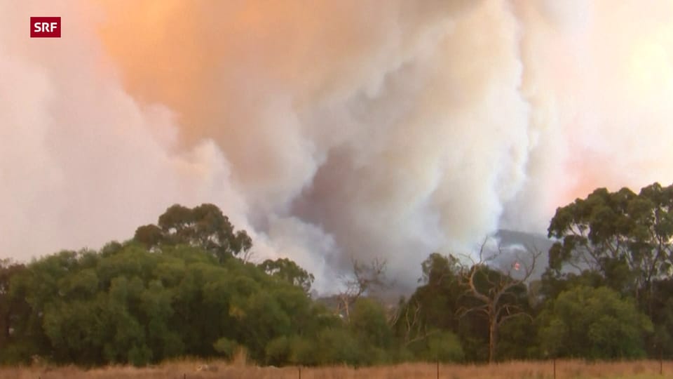Brand wütet im australischen Bundesstaat Victoria