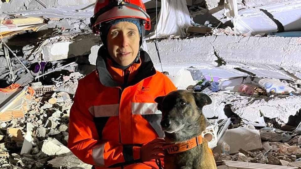 So erleben Rettungshunde den Einsatz im Erdbebengebiet