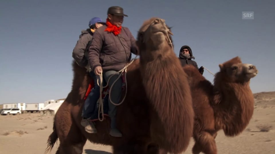 Wüste Gobi: Angst vor dem Endlager vor der eigenen Türe