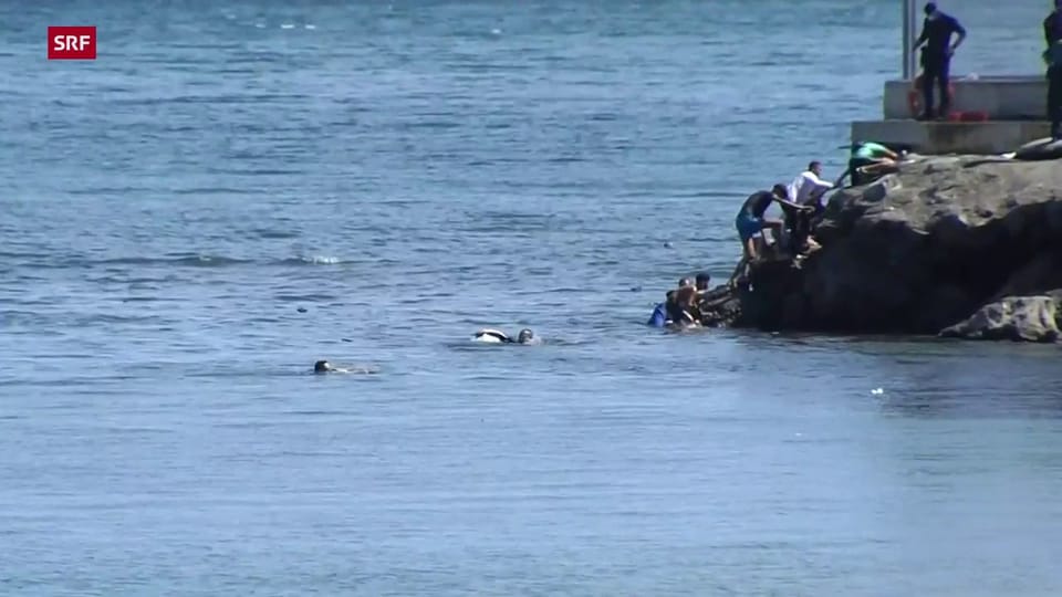 Migranten schwimmen nach Ceuta