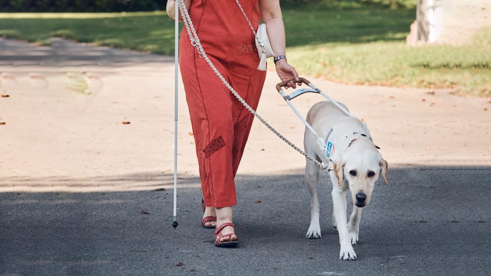 Der schwierigste Job der Welt: Blindenführhund