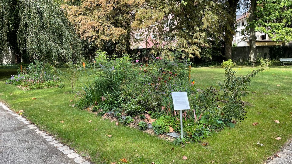 Grosses Interesse an queeren Grabstätten auf dem Friedhof Sihlfeld