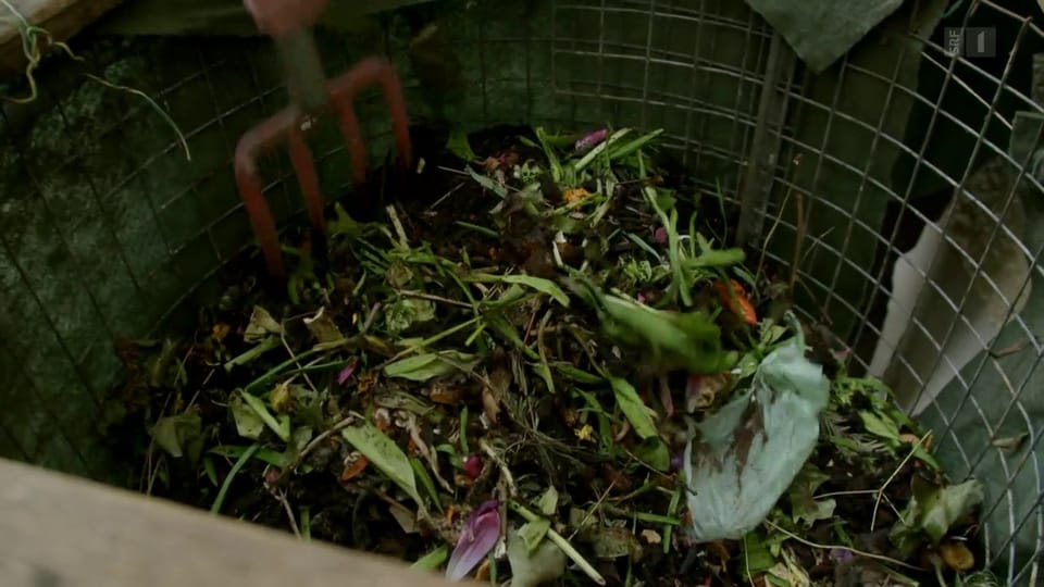 Kompost-Ratgeber: So wird aus Küchenabfällen Erde