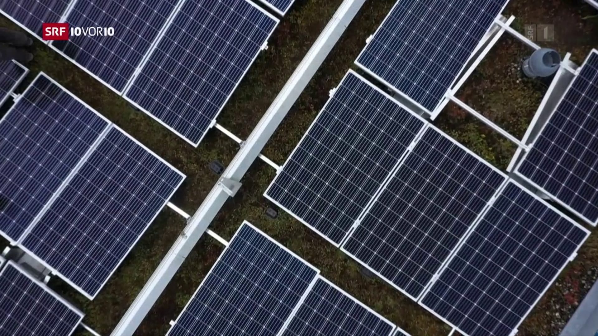 Schatten spenden und dabei Strom erzeugen: Bayer erfindet geniale  Solar-Gardine - EFAHRER.com