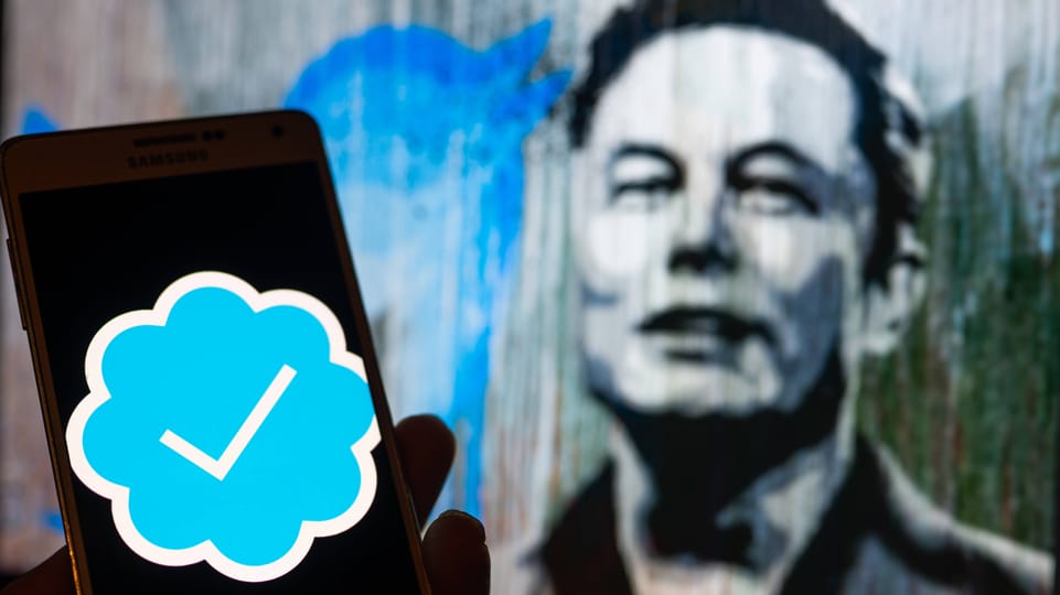Twitter-User wollen Elon Musk als Chef absetzen